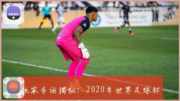 独家专访揭秘：2020年世界足球杯究竟何时举行？
